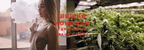 дживик Белокуриха